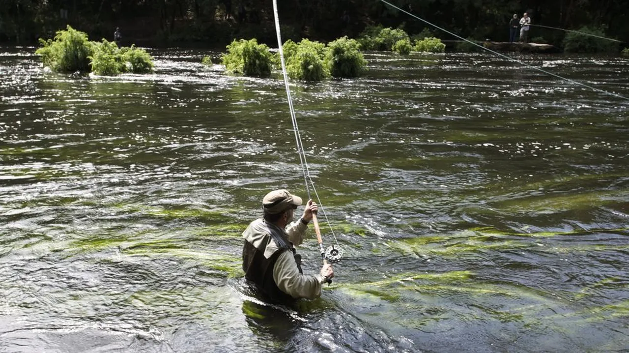 pescador de rio